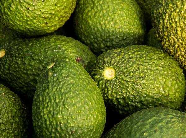 7 beneficios del aguacate que no conocías